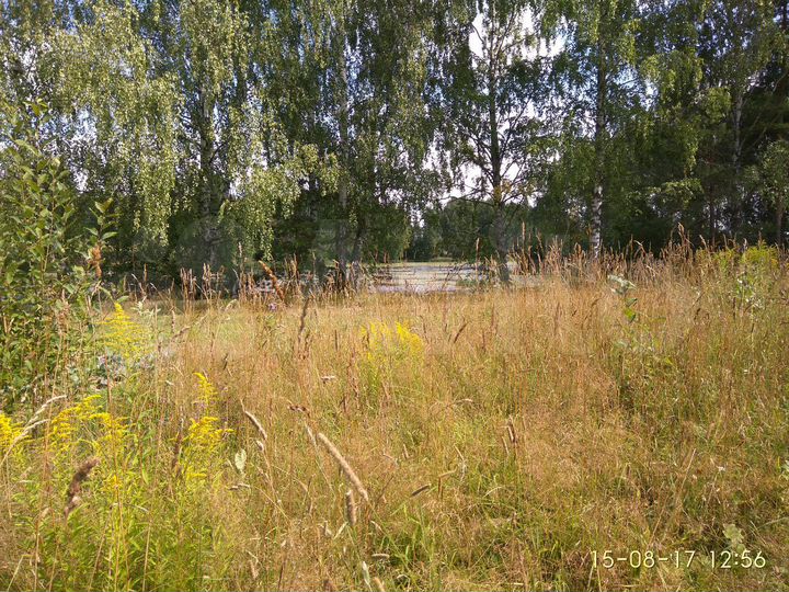 Участок 14 сот. (СНТ, ДНП)