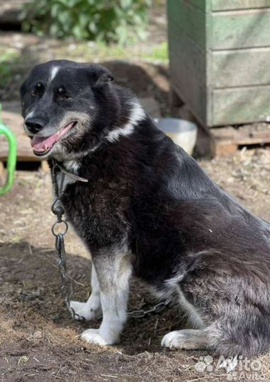 Оливия- это чудо девочка