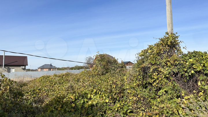 Участок 10 сот. (ИЖС)