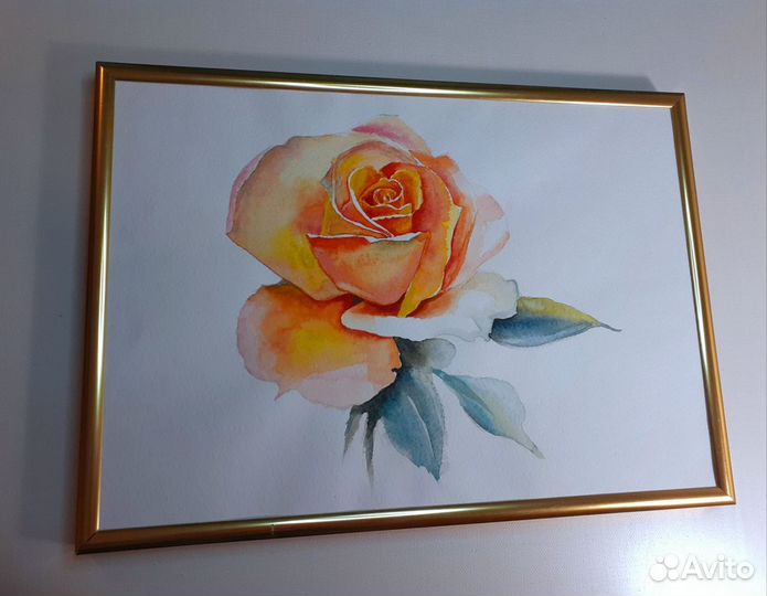 Картина акварель цветы роза А4