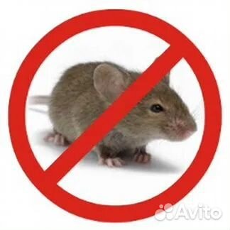 Средство от мышей и крыс. без ядов. Гарантированно