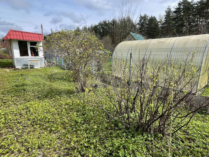 Дача 52 м² на участке 6 сот.