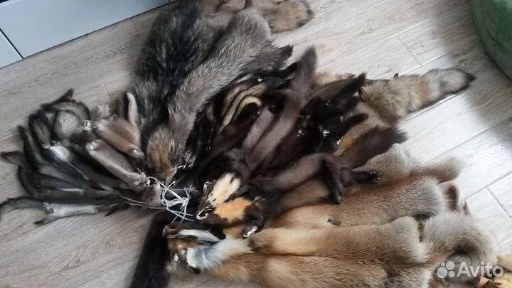 Шкурки мех хорь,норка,ондатра