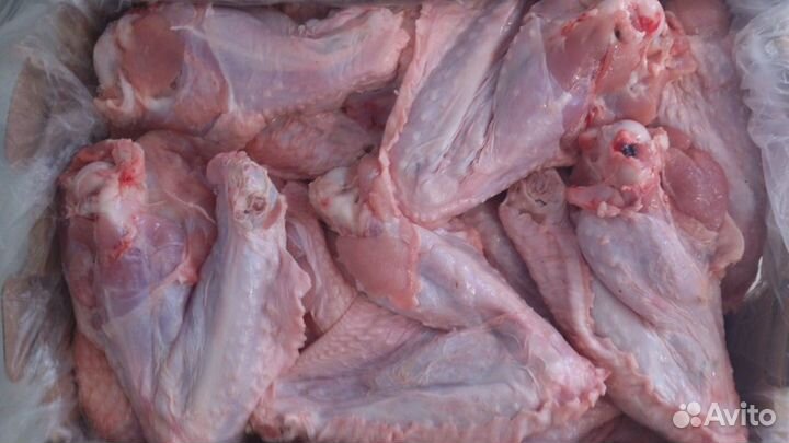 Мясо индейки крыло