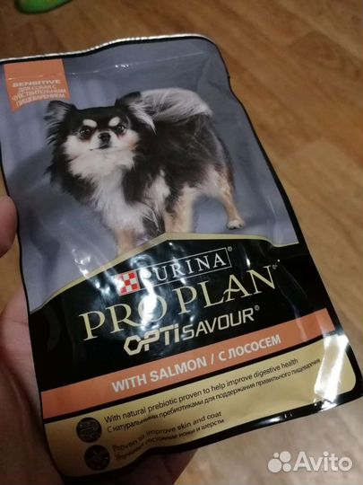 Влажный корм для собак