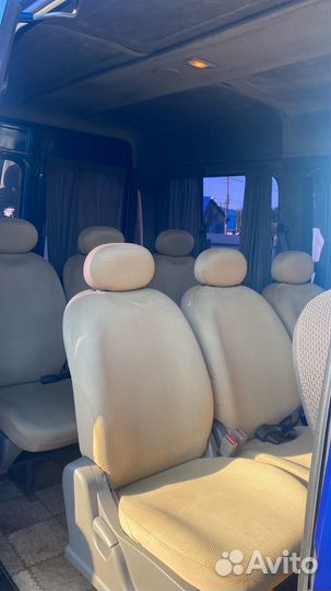 FIAT Ducato микроавтобус, 2009