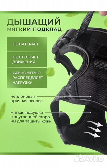 Шлейка анатомическая для собак
