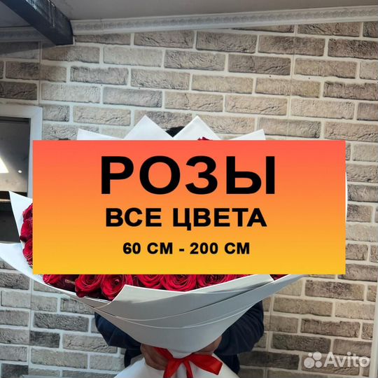 Метровые Розы Букет 25 51 101