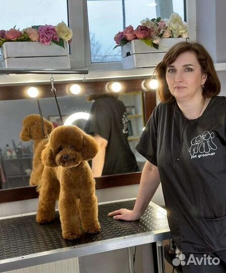 Грумер стрижка собак