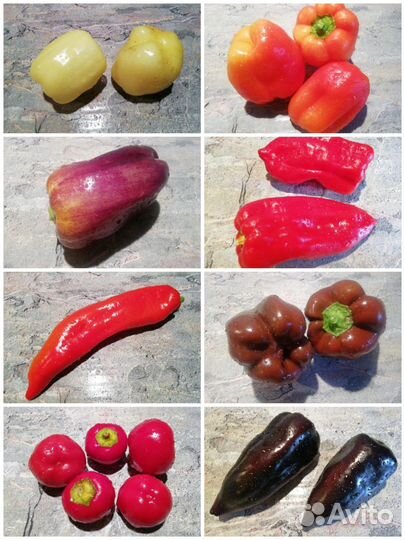 Семена сладких перцев (коллекция 70 сортов)