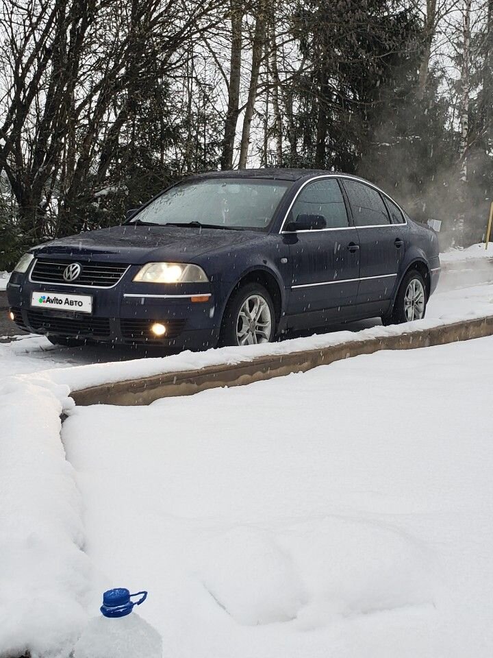 Volkswagen Passat: фото владельца