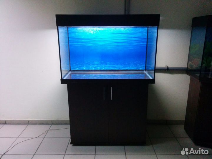 Аквариум 220, прямой, биофильтр, тумба, свет, ф