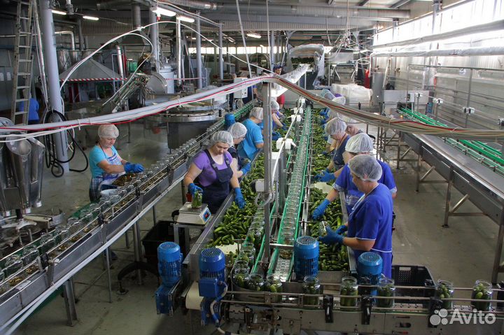 Разнорабочие на вахту Краснодарский край