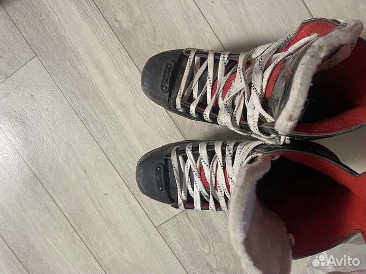 Коньки bayer nsx