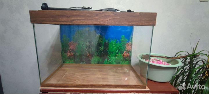 Аквариум