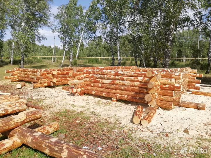 Сруб 6 на 6 метров. Дикая рубка в обратную чашу