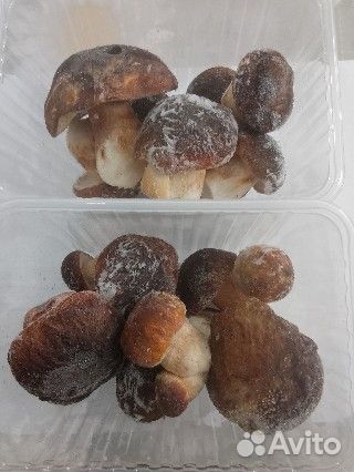 Продам лесные грибы замороженные и сушеные