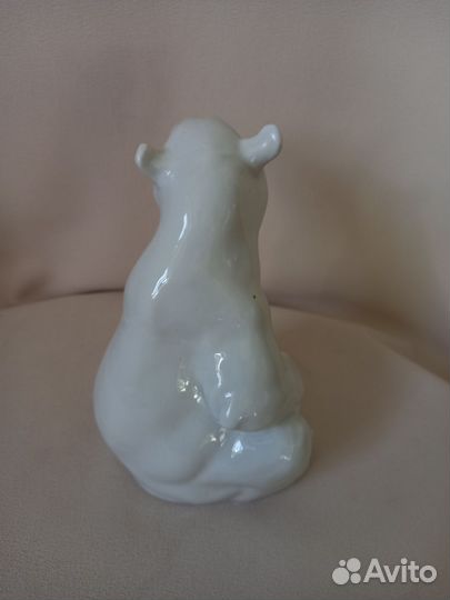 Белый медведь