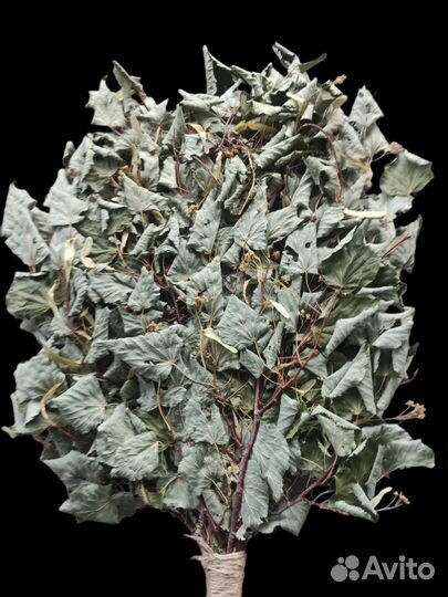 Веники для бани