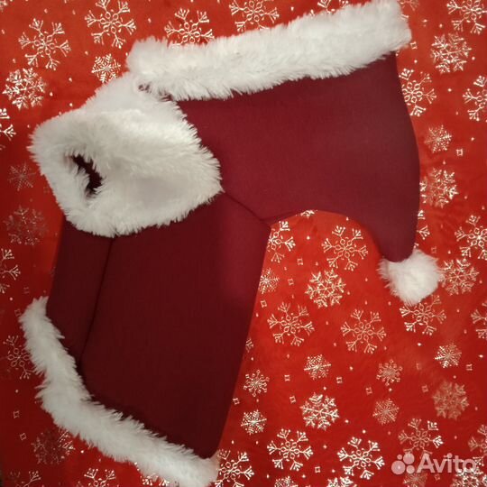 Одежда для маленьких собак