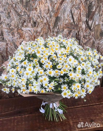 Ромашки букет
