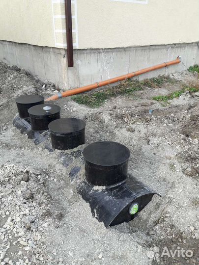 Биосептики