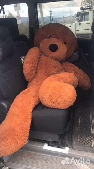 Плюшевый медведь