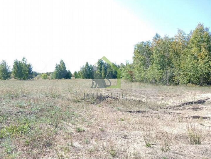 Участок 4,6 га (СНТ, ДНП)