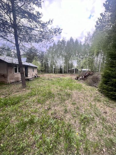 Участок 10 сот. (СНТ, ДНП)