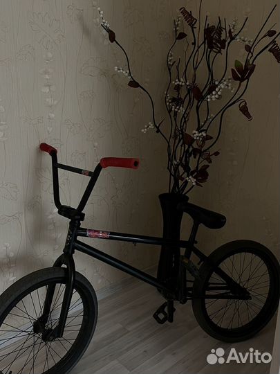 Bmx radio darko