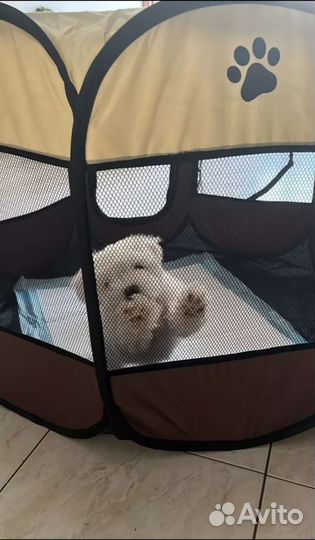 Клетка вольер для собак и кошек