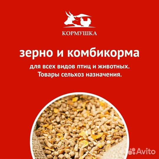 Пробаланс корм для кошек говядина и ягненок