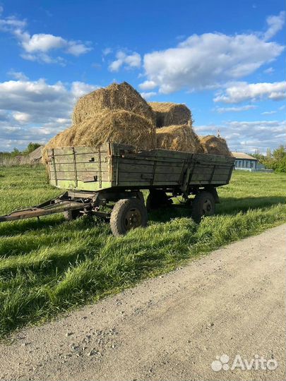Сено в рулонах оптом