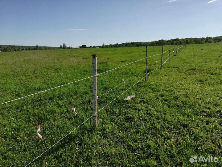 Электропастух