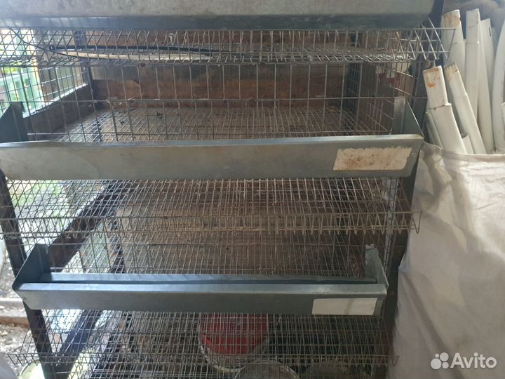 Клетка для перепелов 4-ярусная