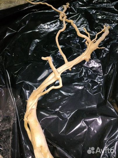 Декор для аквариума