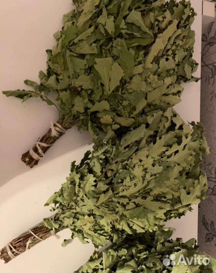 Веники дубовые