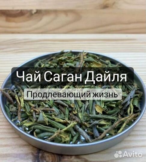 Саган Дайля чай рододенрон белое крыло багульник