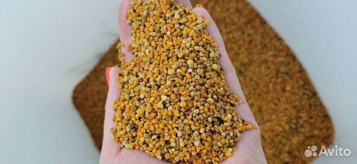 Пыльца цветочная