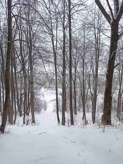 Участок 8,02 га (СНТ, ДНП)