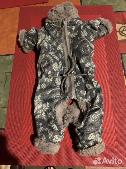 Зимний комбинезон для маленькой собачки