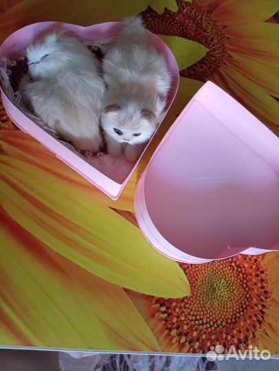 Сувенир оберег котики украшение интерьера