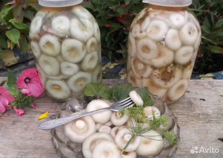 Продам грузди