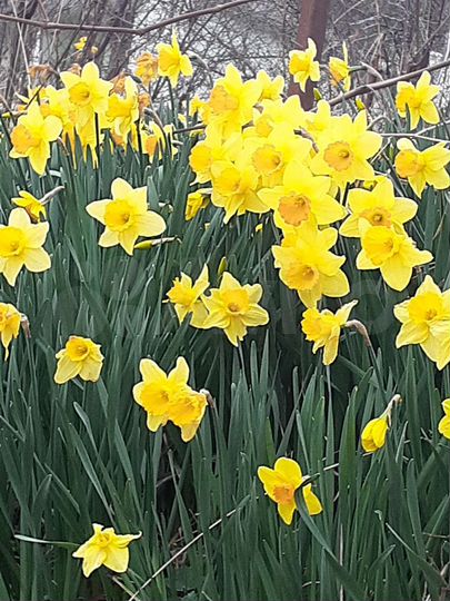 Дача 64 м² на участке 6,3 сот.