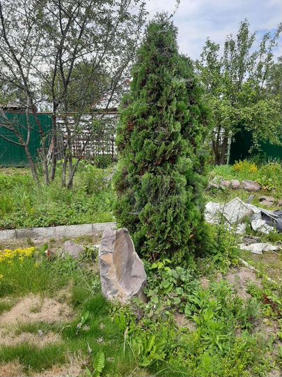 Дом 30 м² на участке 3,5 сот.