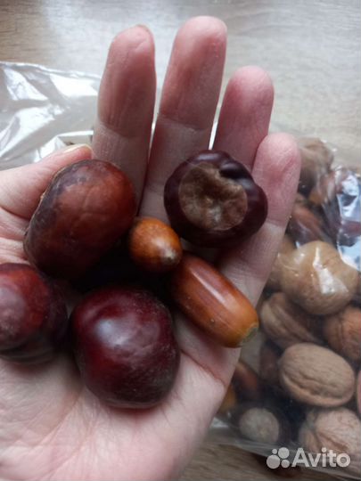 Природный материал для сенсорной коробки