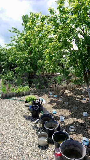 Дом 20 м² на участке 4,9 сот.