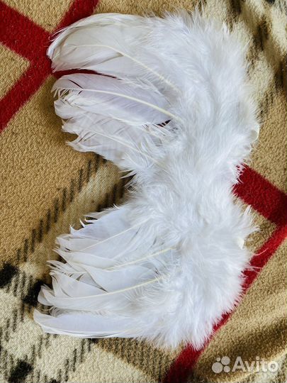 Крылья для фотосессии новорожденных