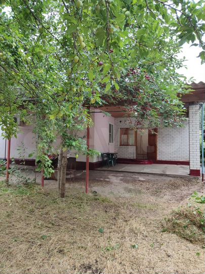 Reviews of Shkola № 18, Srednyaya, MOU, Stavropol Territory, Budyonnovskiy munit