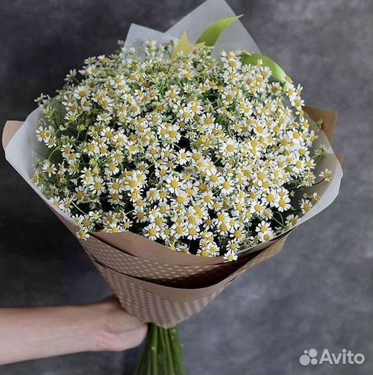 Доставка цветов. Ромашки